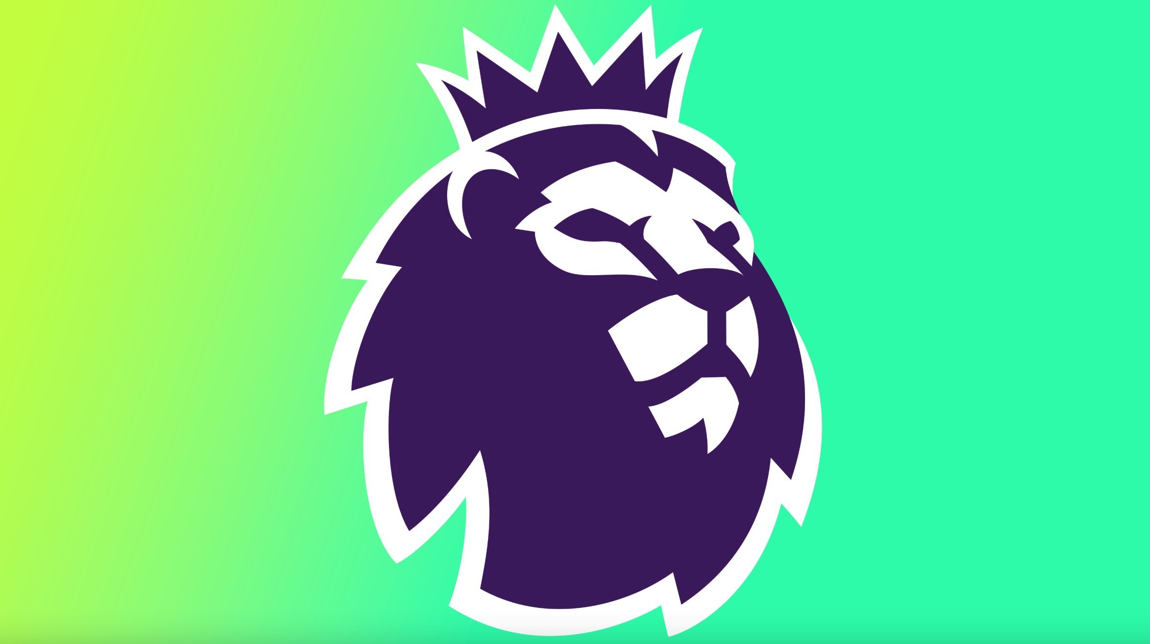 队的既定赛 队的既定赛