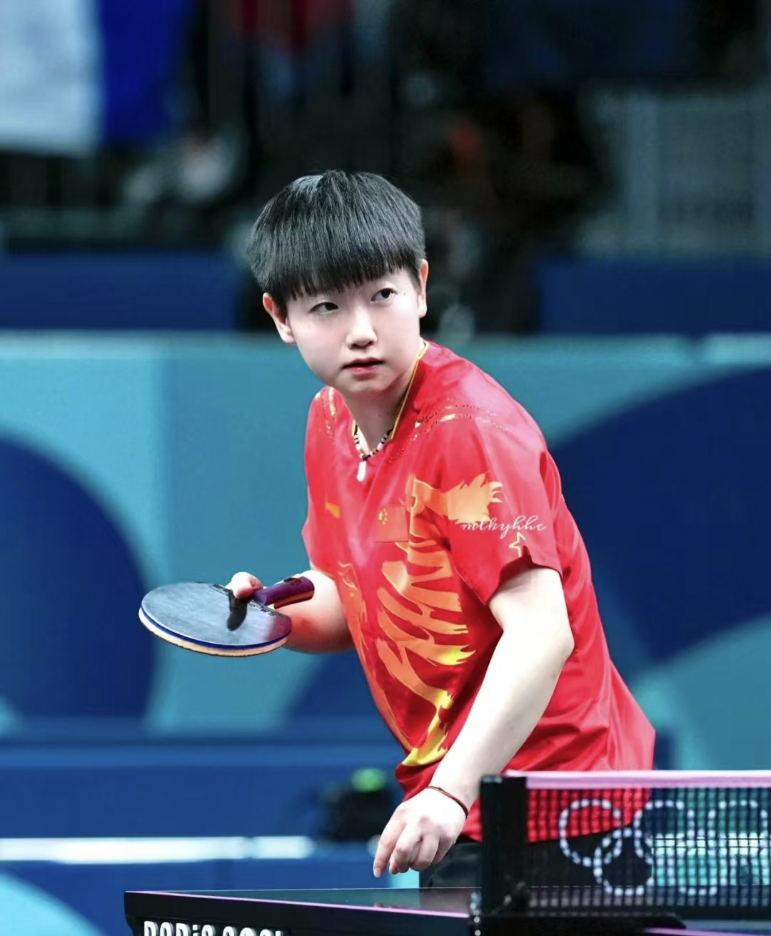 网球名将费 网球名将费