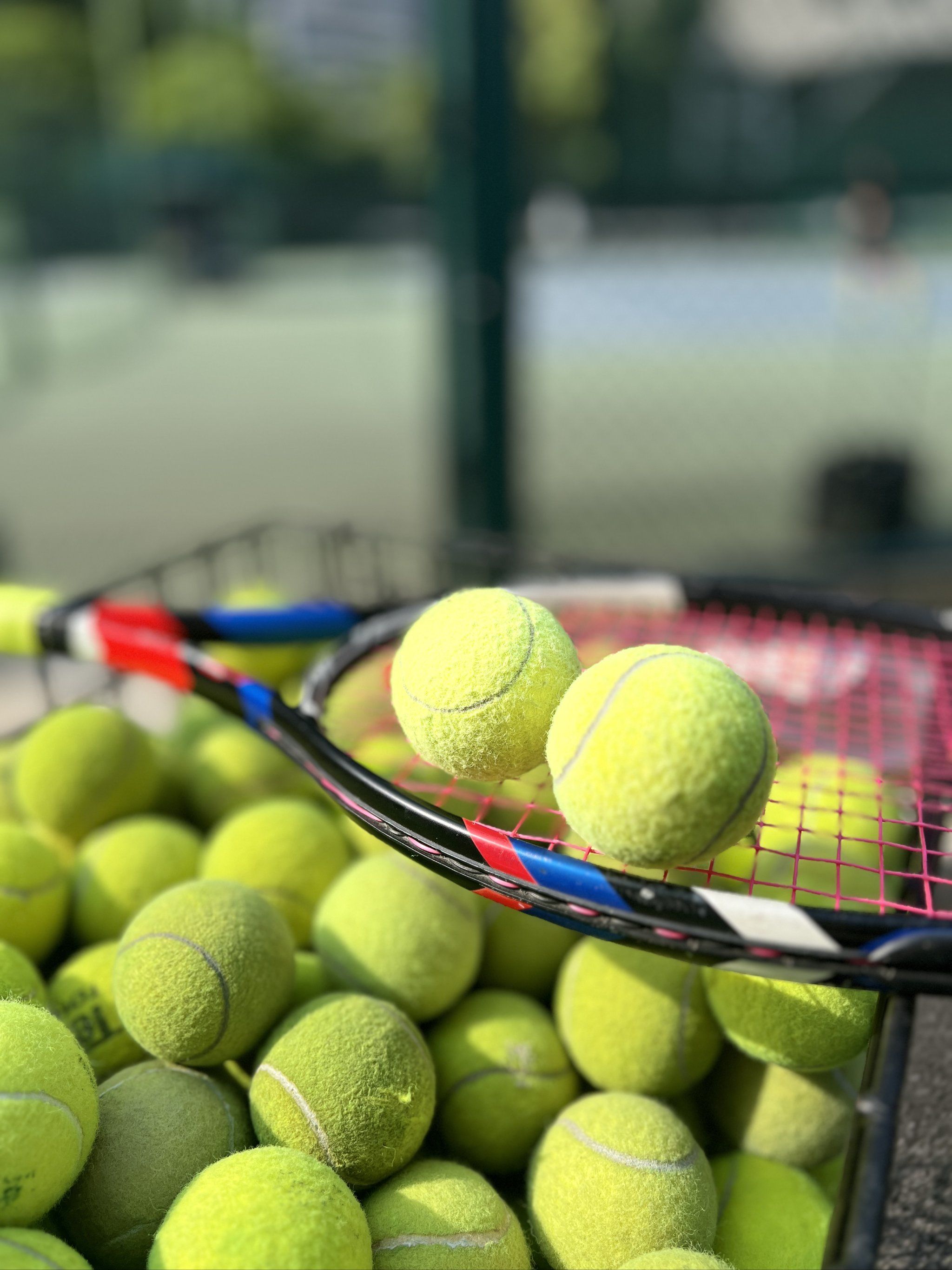 术重心与赛 术重心与赛